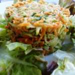 salade-carottes-courgettes-sauce-avocat-4