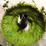 pesto-alla-genovese-maison-3