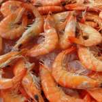 Crevettes