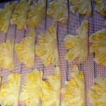 Chips d’ananas 3