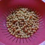 Koshari (Egypte)  13