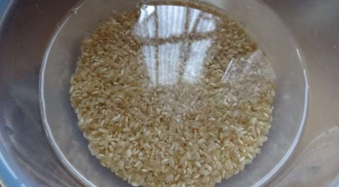 Ragoût vegan riz complet et lentilles 2