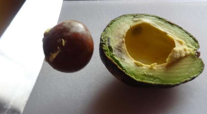 Avocat caramélisé au sirop d'érable 1