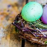 Easter eggs in the nest on rustic wooden background