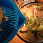 Houmous d’avocat (Costa Rica) 3