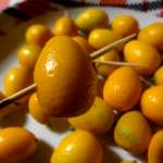 kumquats confits 1