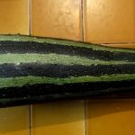 Caviar de courgettes 1