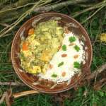 Curry de saumon aux épinards et courge 0